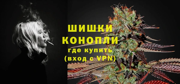 крисы Зеленодольск