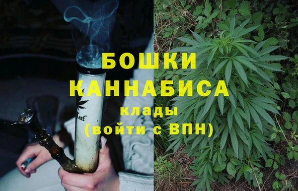 крисы Зеленодольск